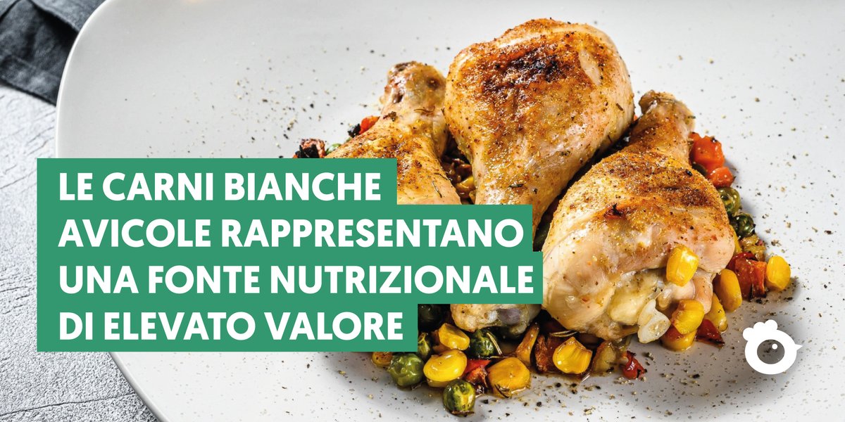 _Vivailpollo's tweet photo. Le carni avicole sono una fonte nutrizionale di elevato valore. Ricche di proteine, vitamine del gruppo B, aminoacidi essenziali e minerali come il ferro.

Per 100 g di petto di pollo si contano oltre 23 g di proteine; la fesa di tacchino arriva a 24 g.
#wilpollo https://t.co/fgGnvWV0UY
