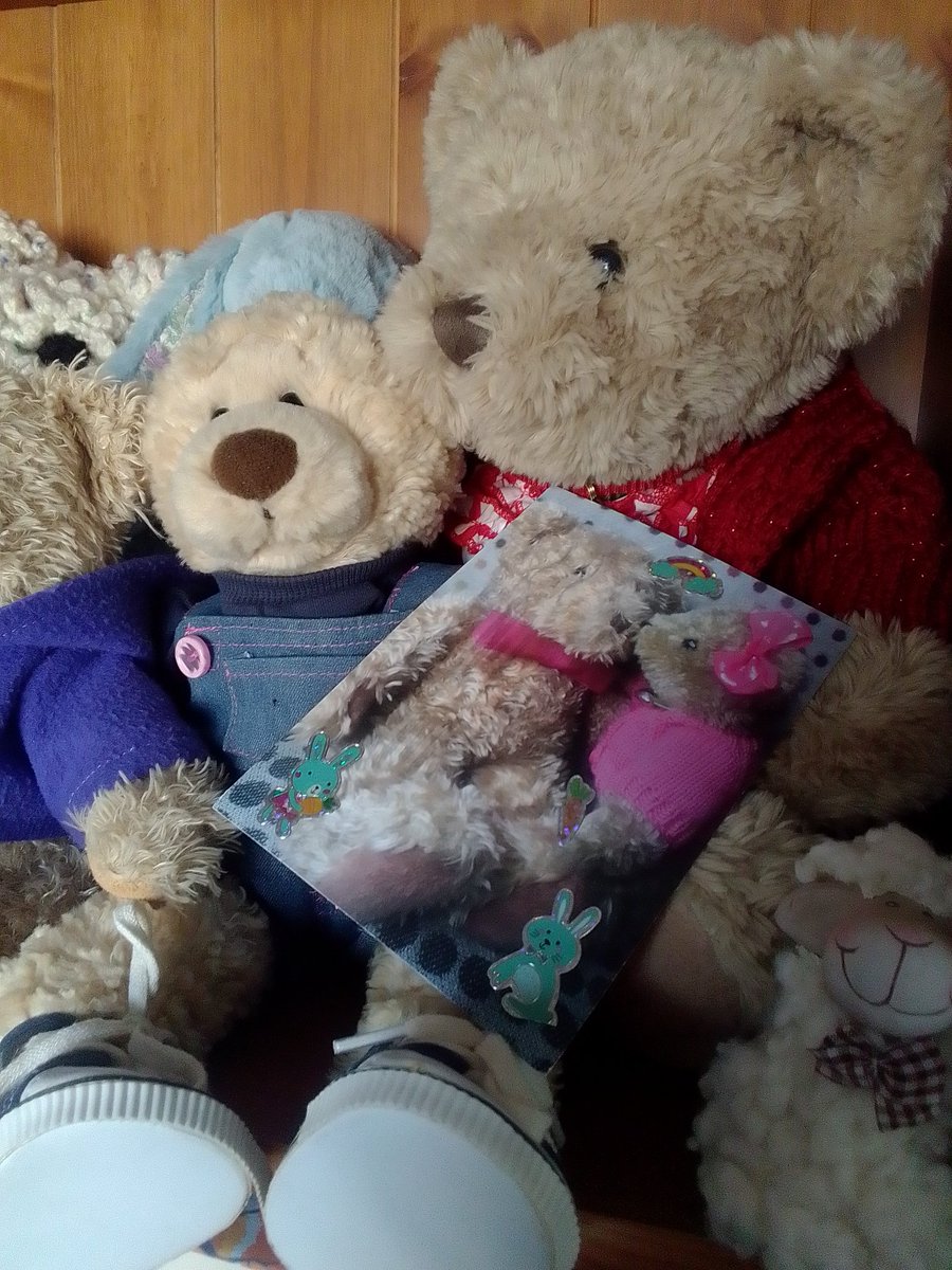 Ewan Bear & Olivia The Sweet Bear's Hug 💙 tweet media