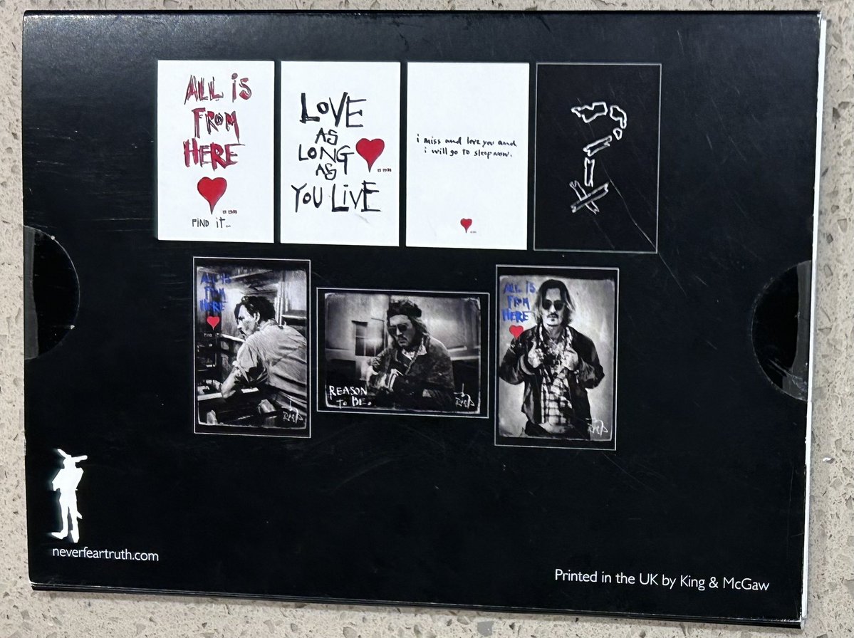 Folly Wildlife Rescue tweet media