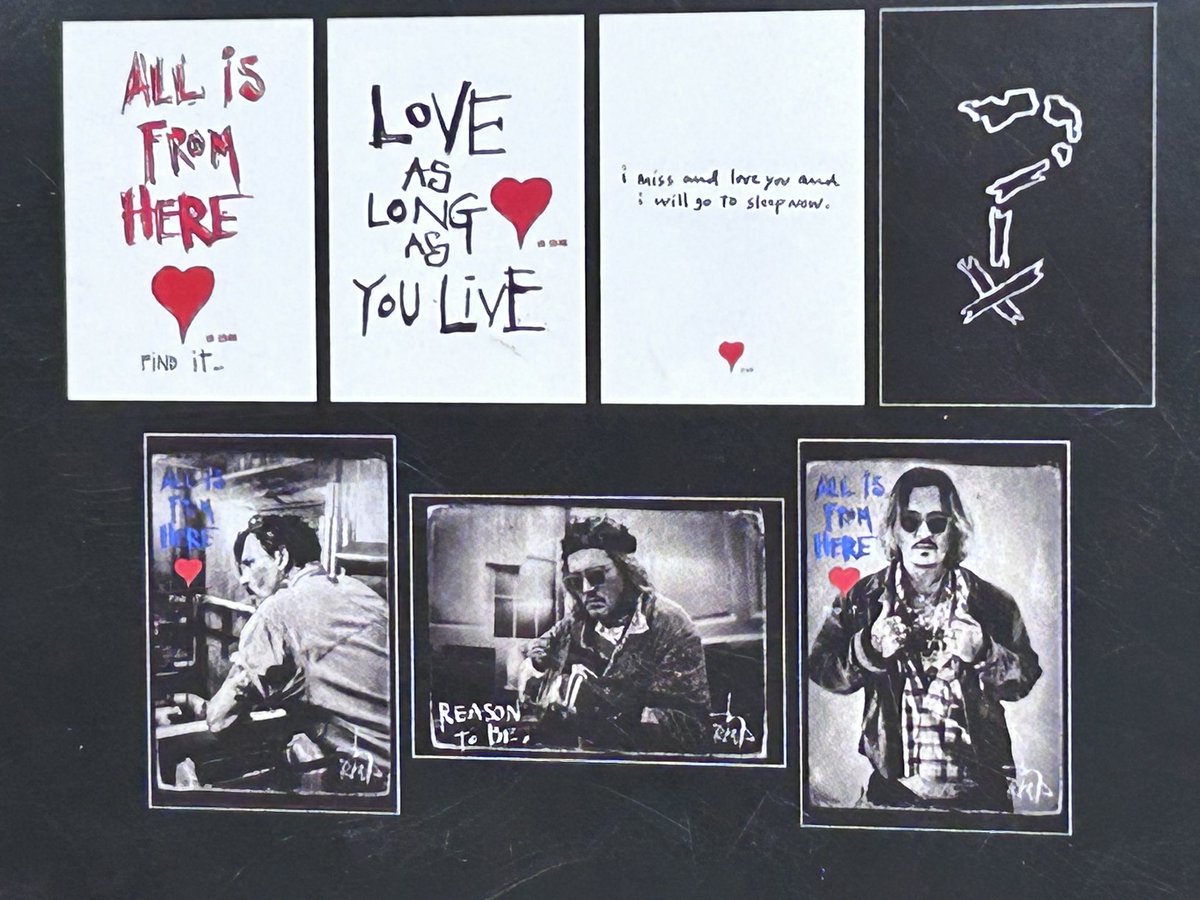 Folly Wildlife Rescue tweet media