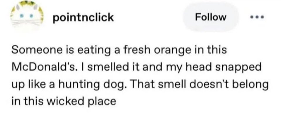 Nature Vids (@natureinmemes) on Twitter photo 