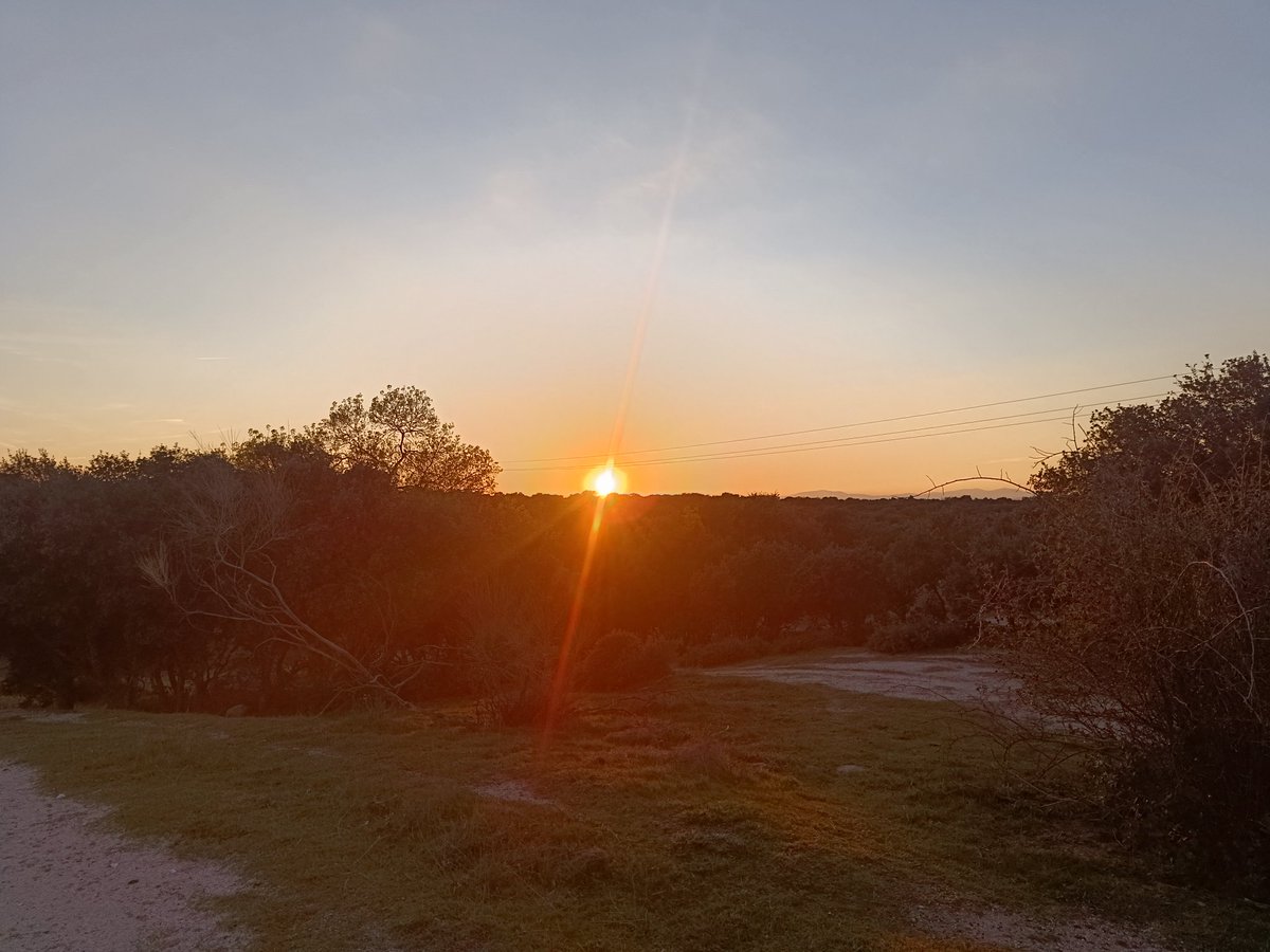 ... Manu ... 守破離 ... tweet media