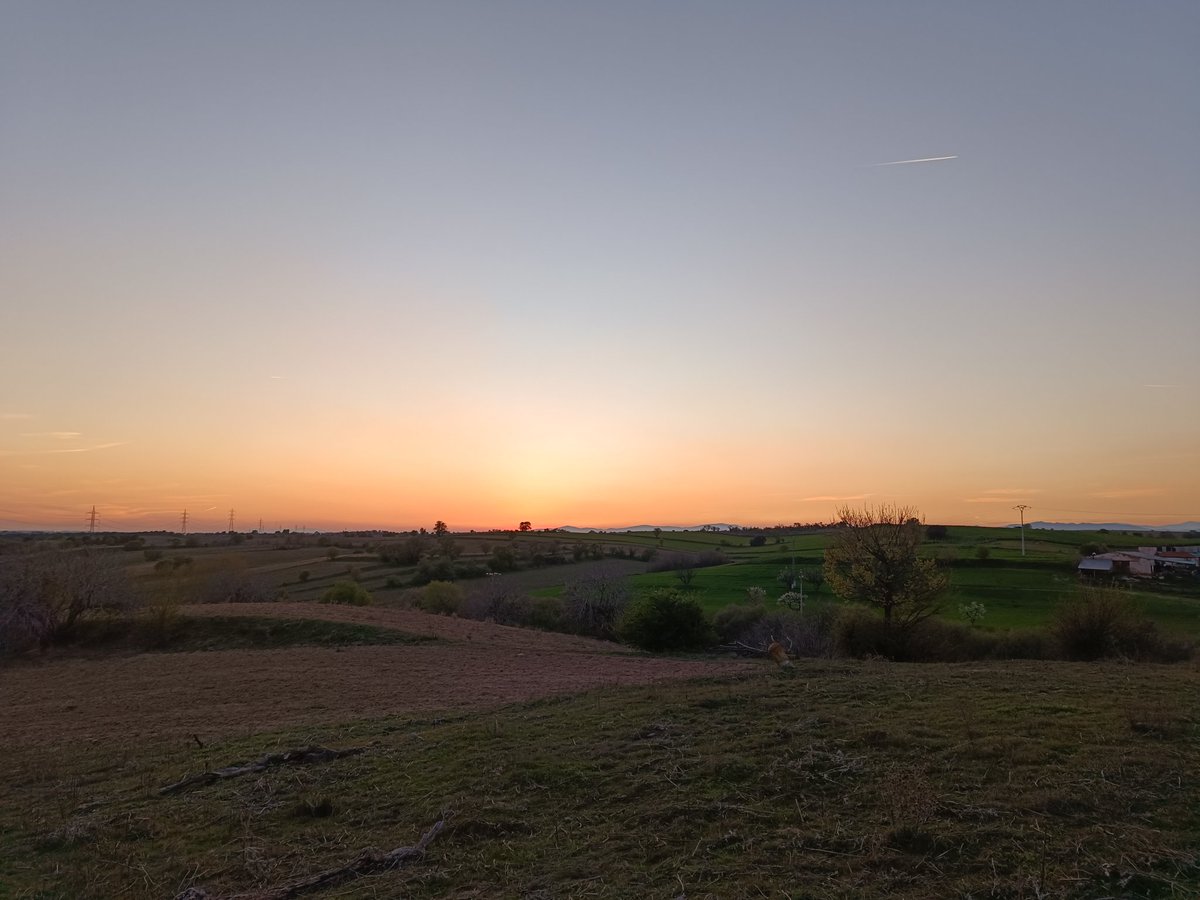 ... Manu ... 守破離 ... tweet media