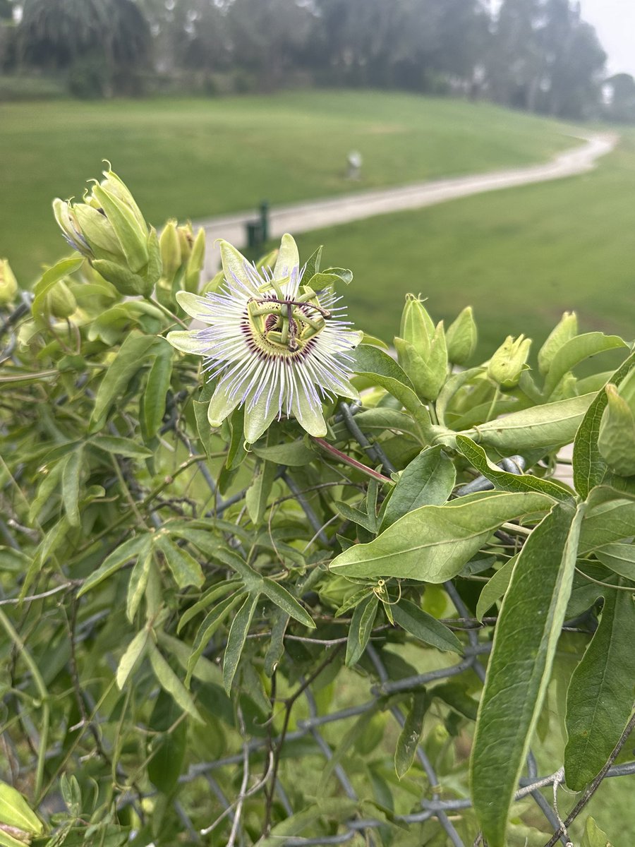 liv eats tweet media