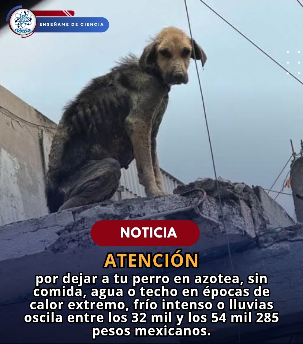 Enséñame de Ciencia tweet media