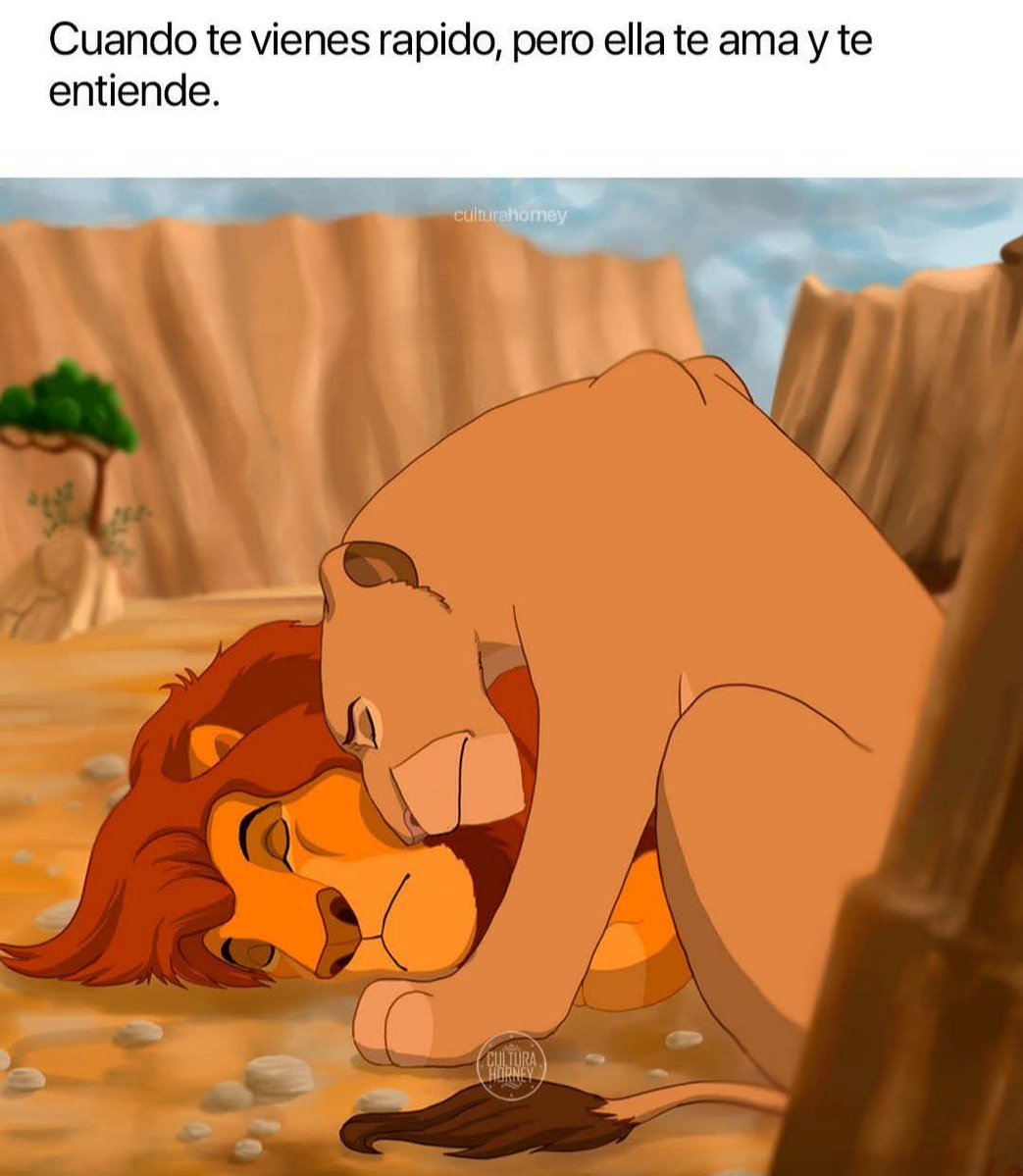 Andreita ❤️🩹 tweet media