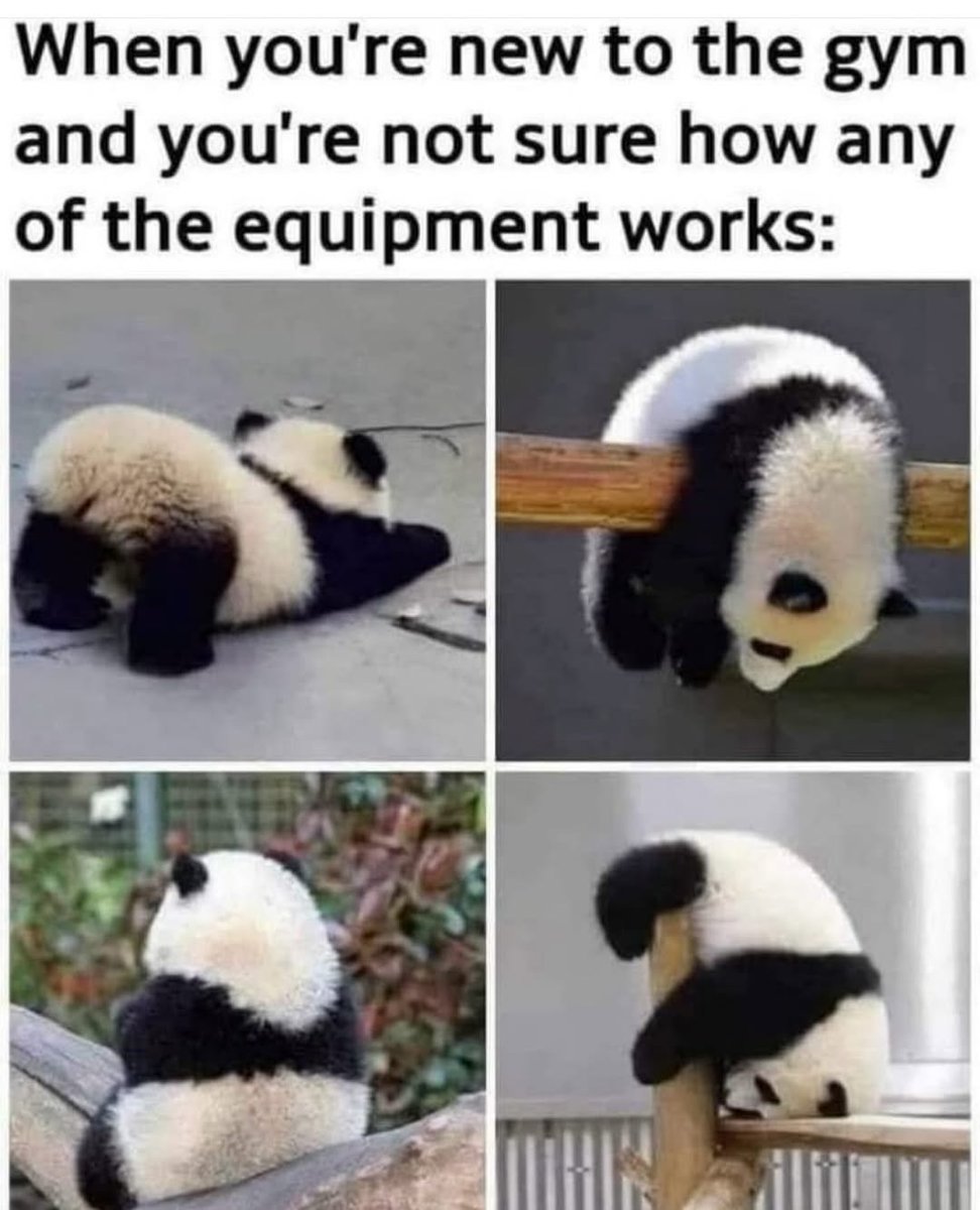 Maria Lander tweet media