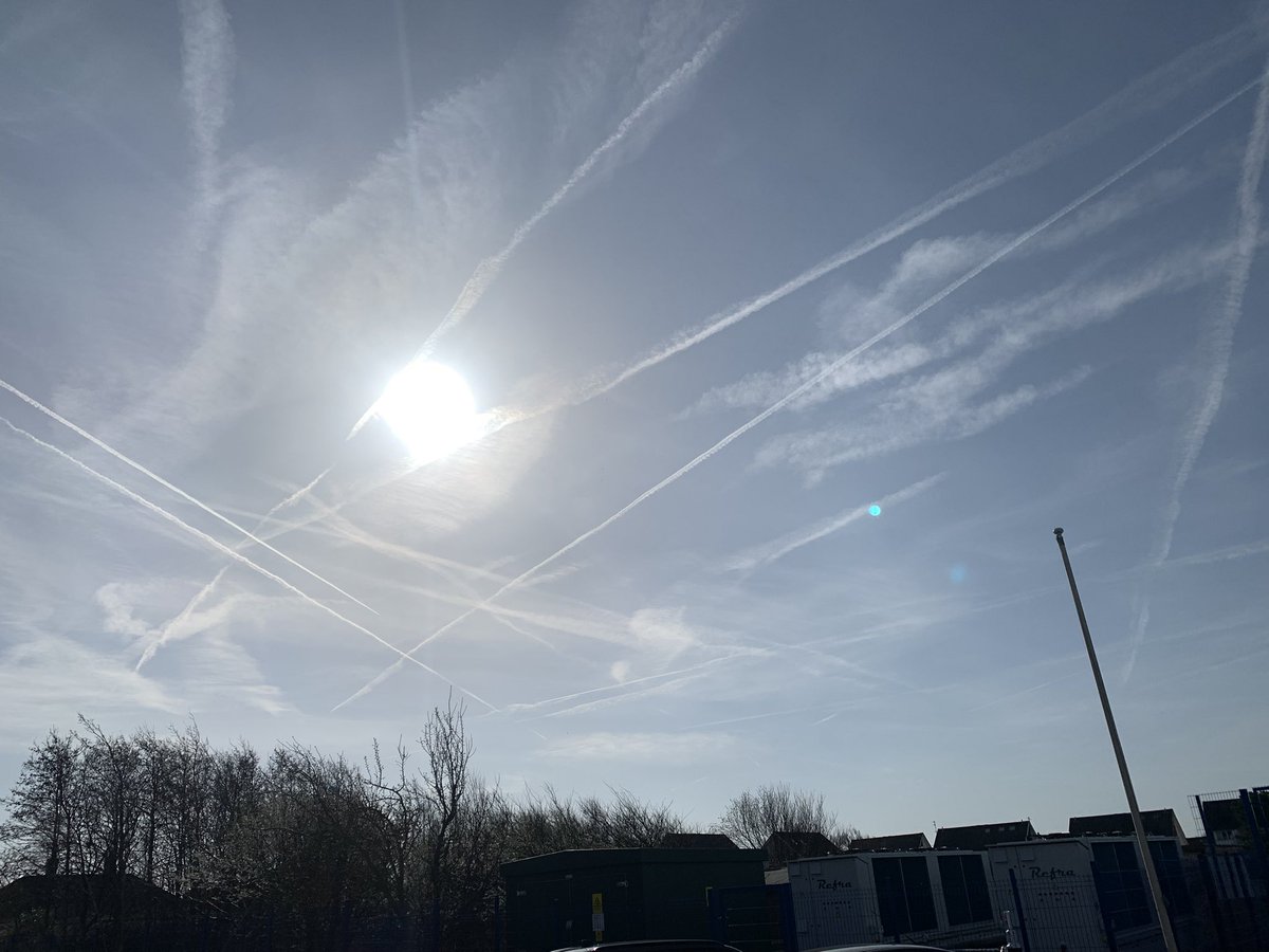 The Shady Rest tweet media