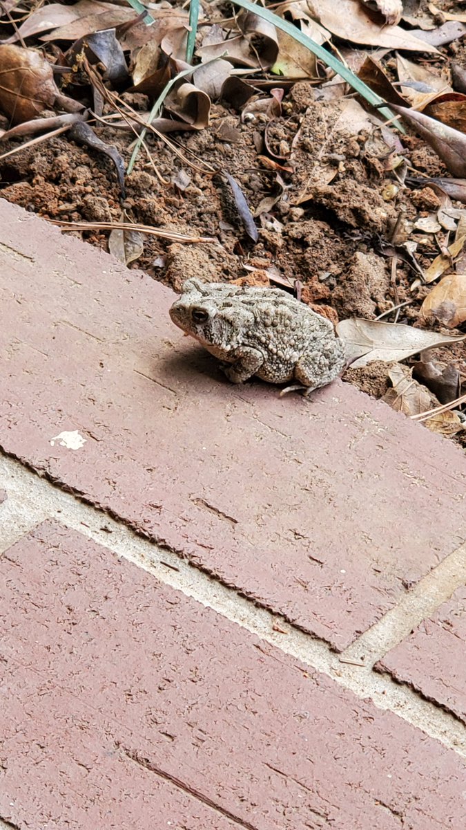 QuilaTQN tweet media