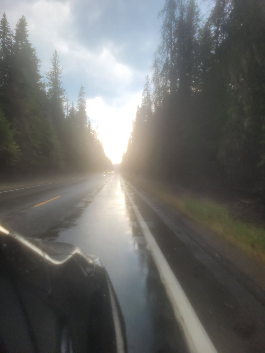 ThievingClient tweet media