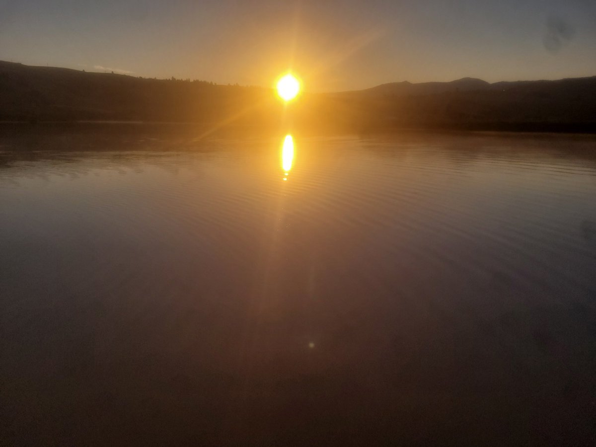 ThievingClient tweet media