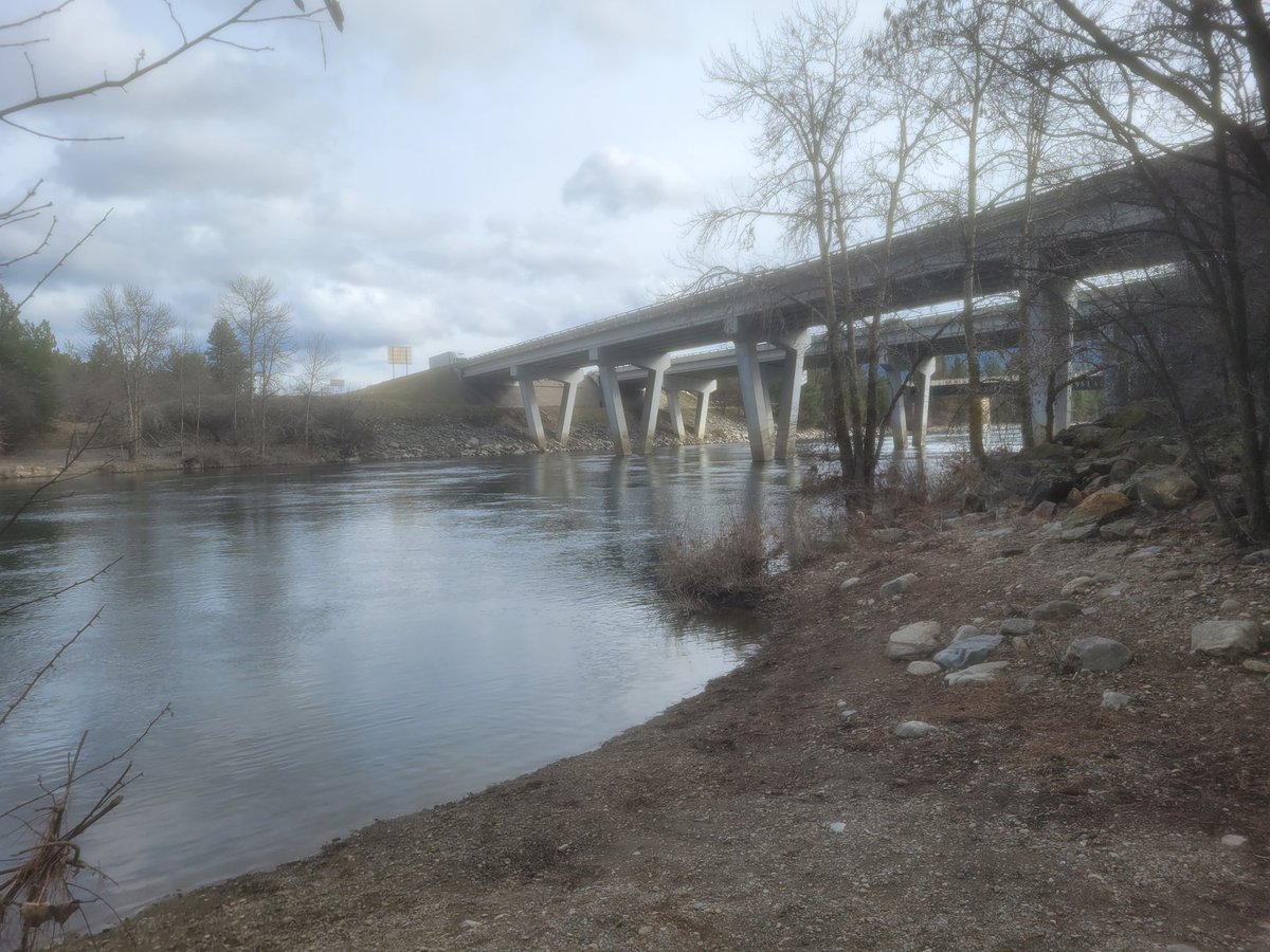 ThievingClient tweet media