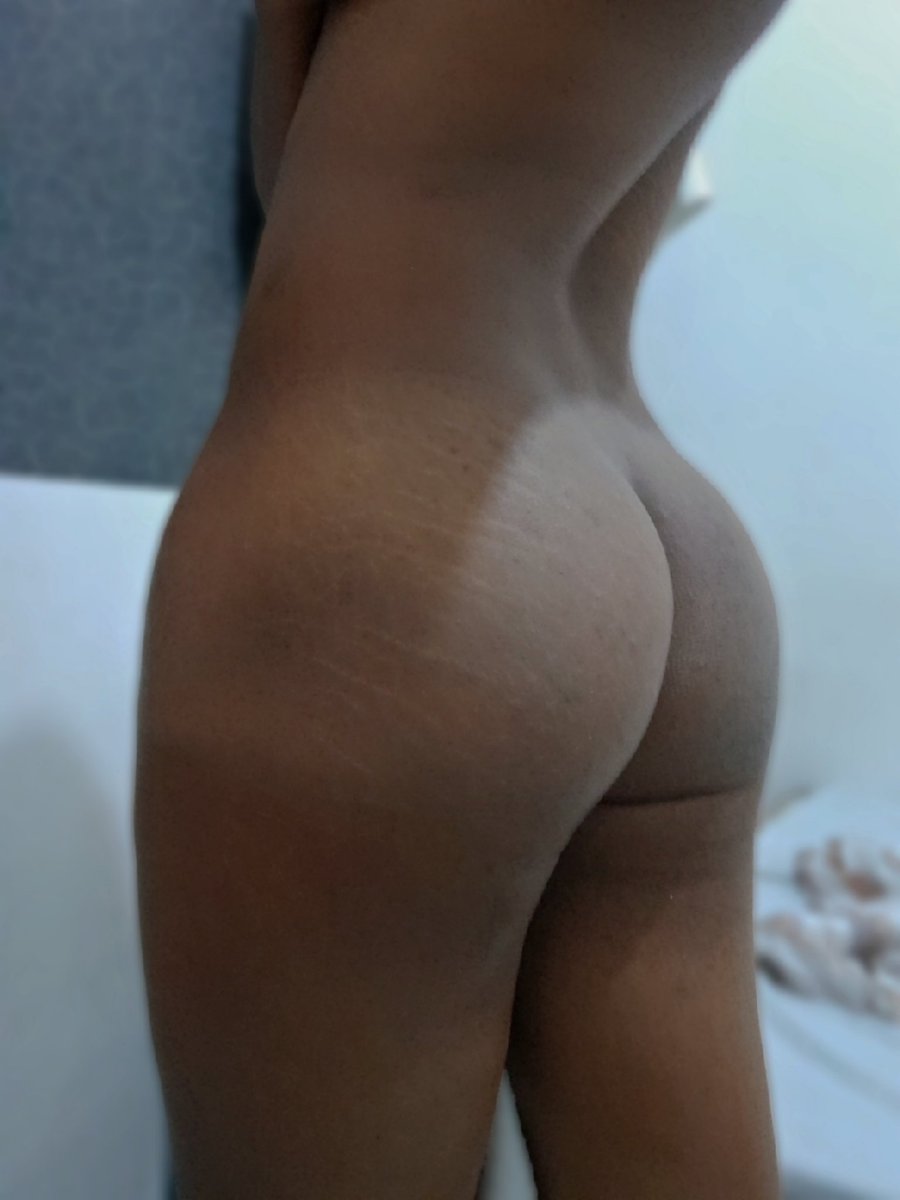 gatinho lindo unteligente tweet media