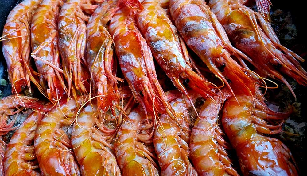 Comerbeberdormir tweet media