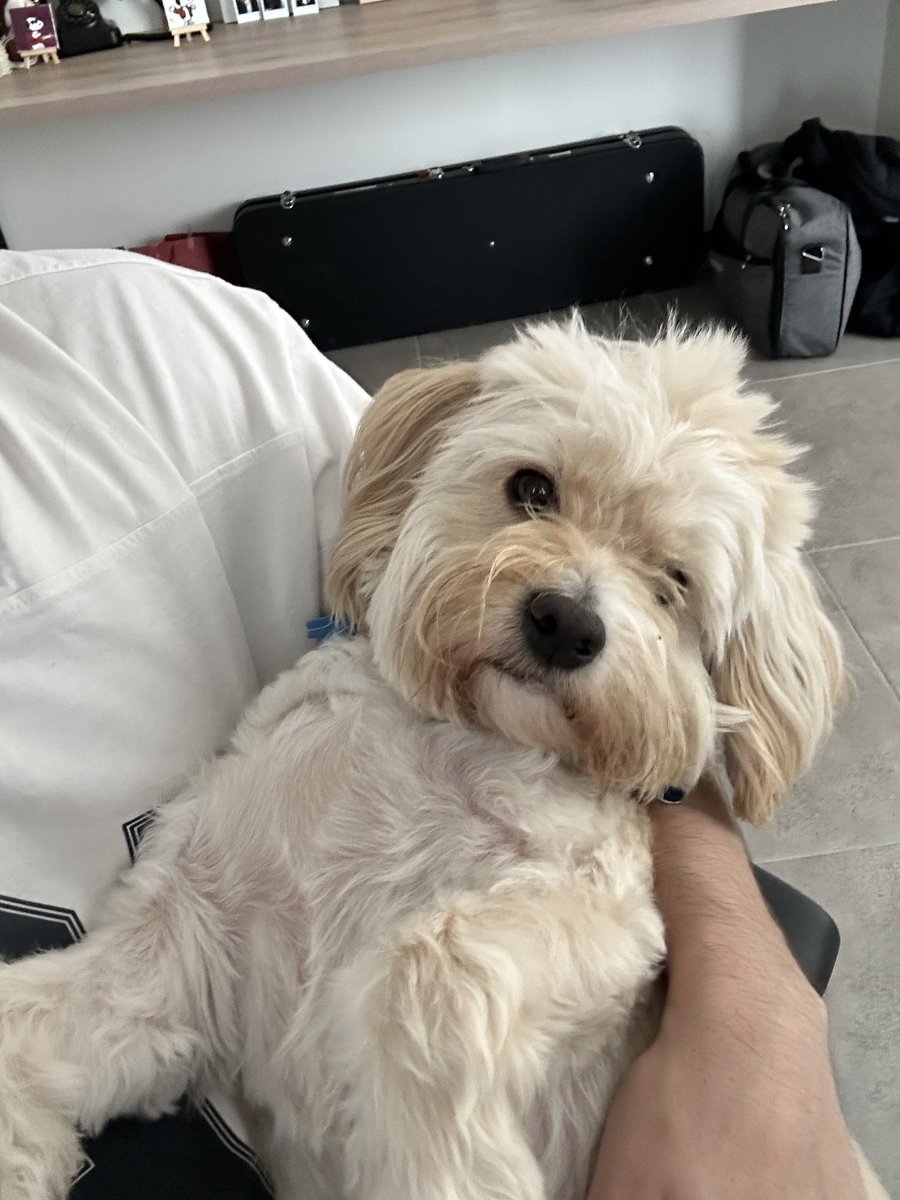 sharkboy tweet media