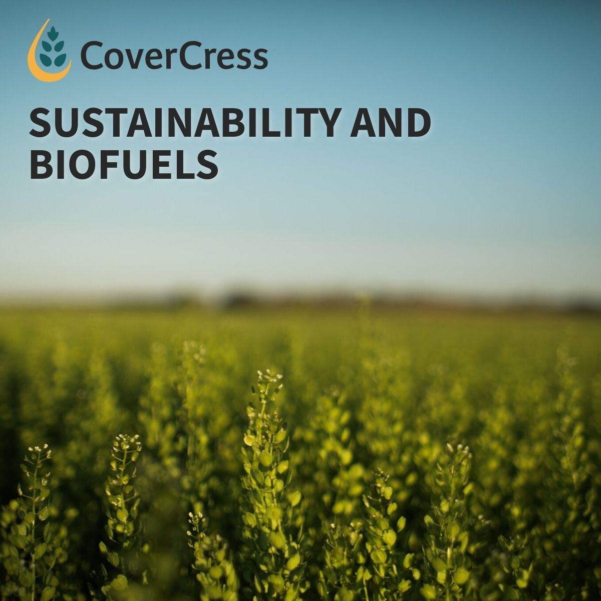 CoverCress Inc. tweet media