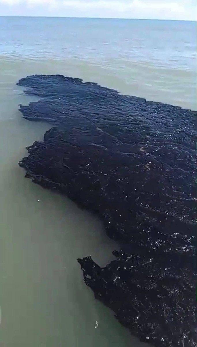 General Brigadier Cándido Aguilar Vargas tweet media