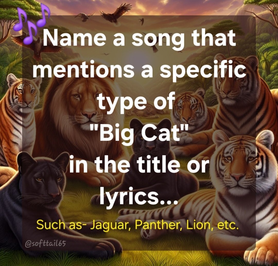 Monica 💙🌻🏳️‍🌈 tweet media