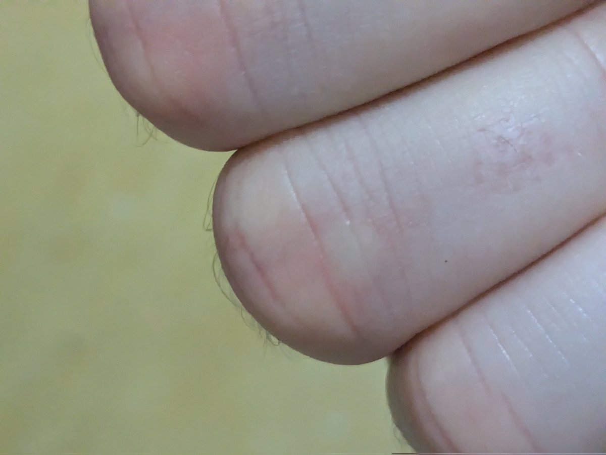 Adam Kranz tweet media