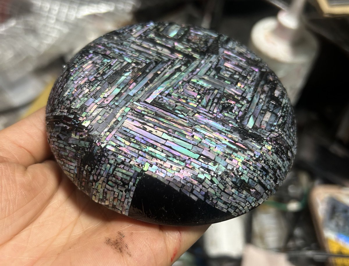 杜野菫 tweet media