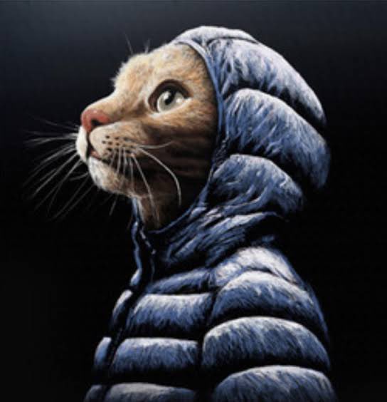 gtfo the room 🛹 tweet media