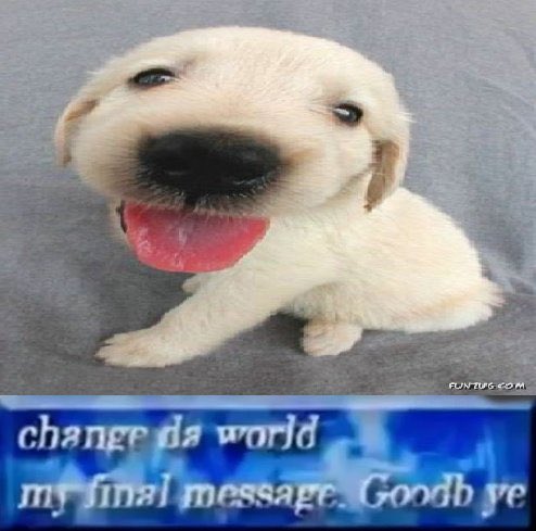 Patrícia Taylor tweet media