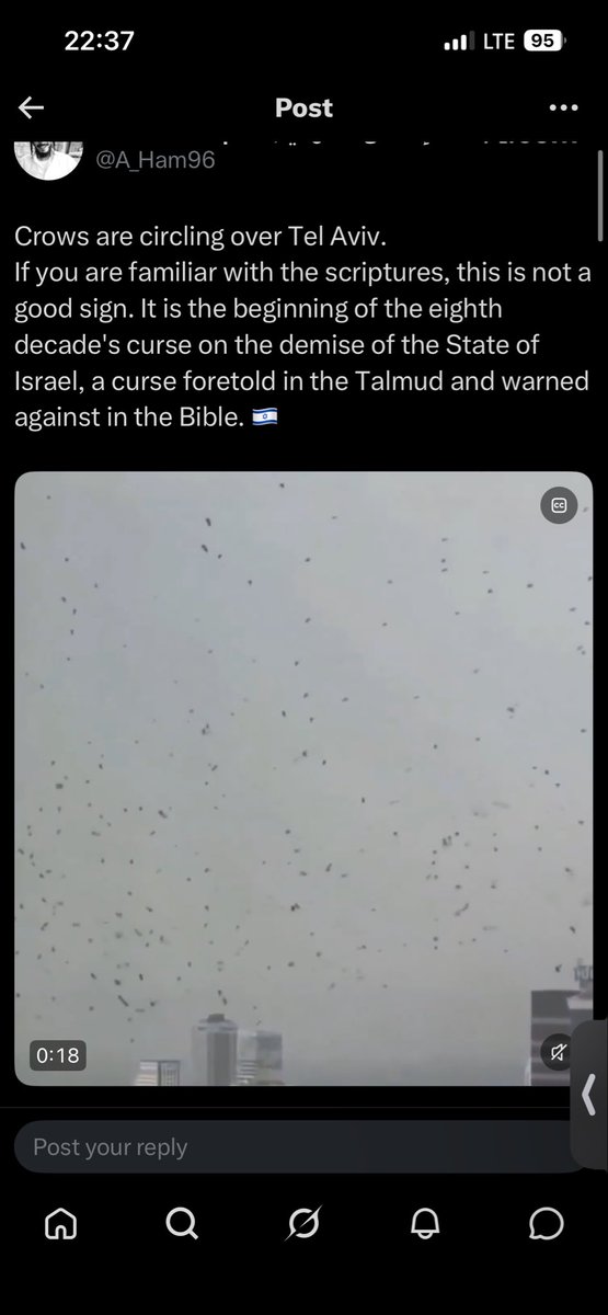 من لبنان Aya tweet media