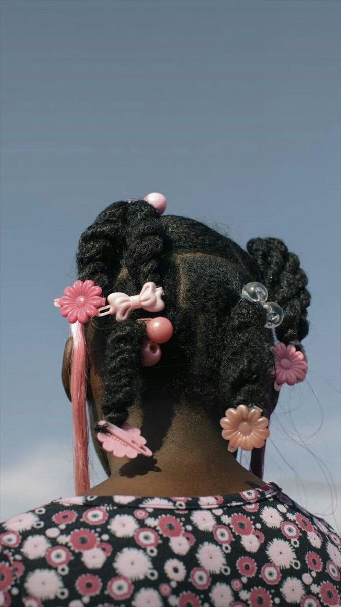 Dianthia tweet media