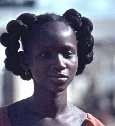 Dianthia tweet media