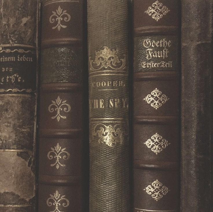 alê 𓏲ּ | jurídico aleloy tweet media