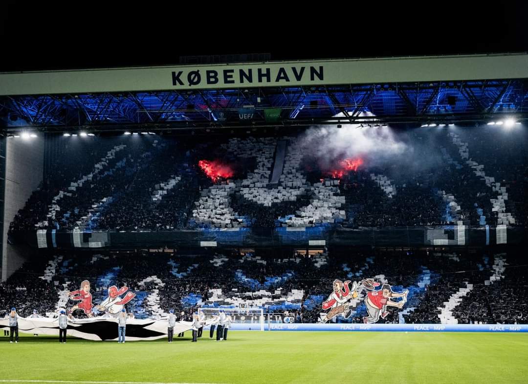 ClimanLeclem tweet media