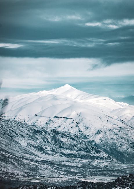 Tiffany Martin tweet media