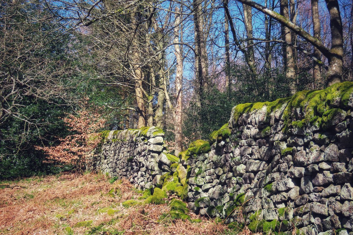 📸 MR. HANGING ON IN QUIET DESPERATION... tweet media