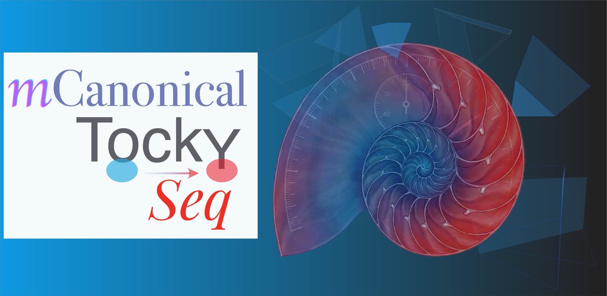 MonoTockyLab's tweet photo. We’ve also released the mCanonicalTockySeq R package! 📦💻
It reconstructs temporally resolved developmental state spaces by integrating Tocky signalling history into scRNA-seq workflows.
https://t.co/GoC8G0LLb2 https://t.co/xwj3bdvBsB