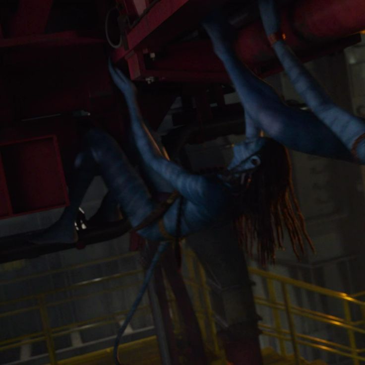 ᨳ᭬ meg. ✩ tweet media