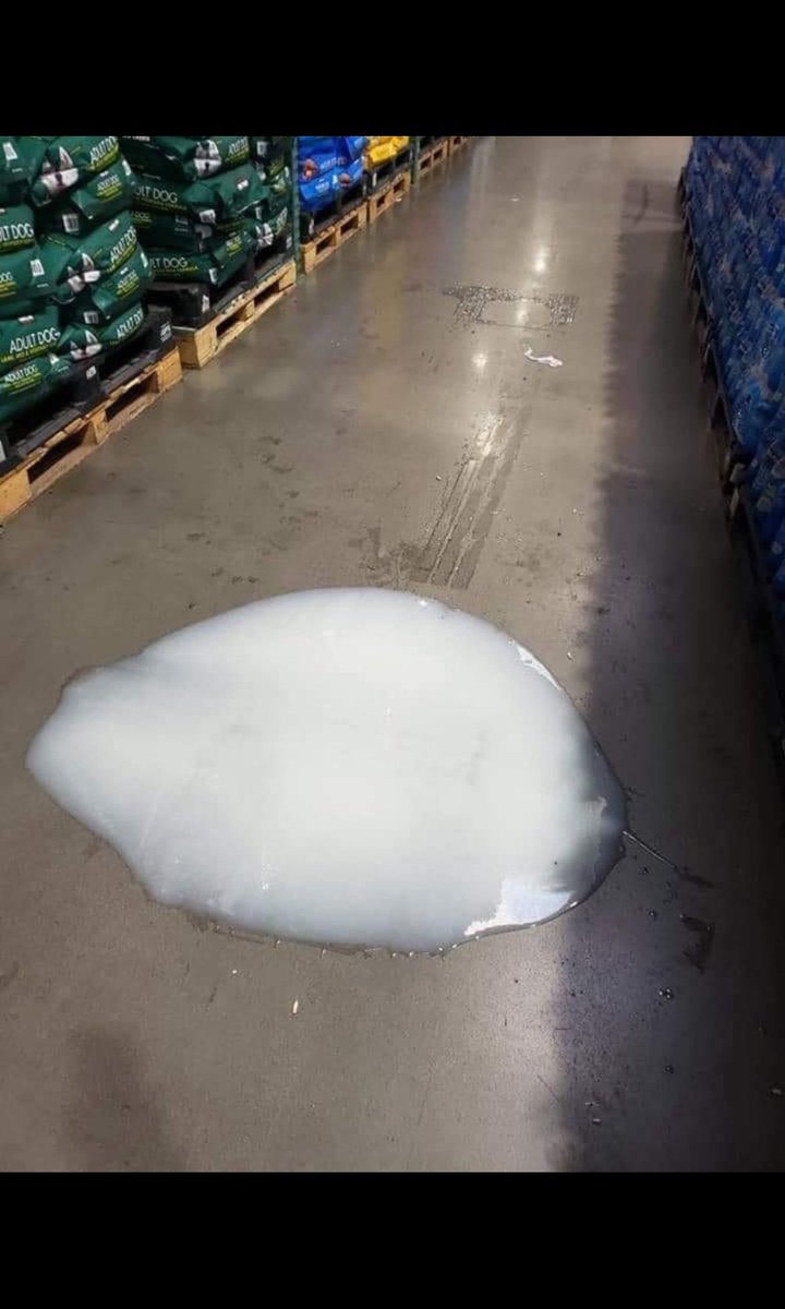 AgainThisFuckingGuy tweet media