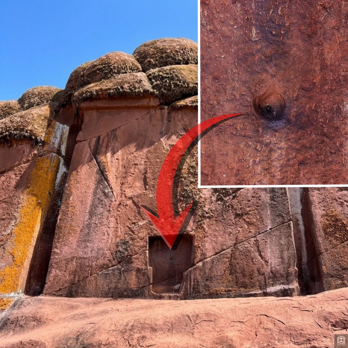 History Content tweet media