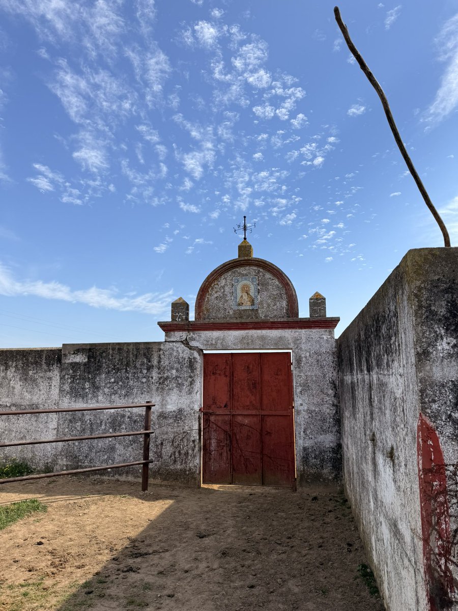 Román Collado tweet media