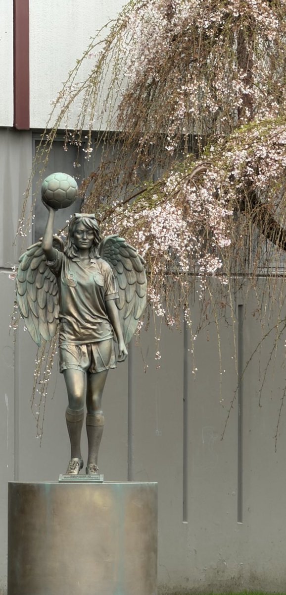 taylor 🐝 tweet media