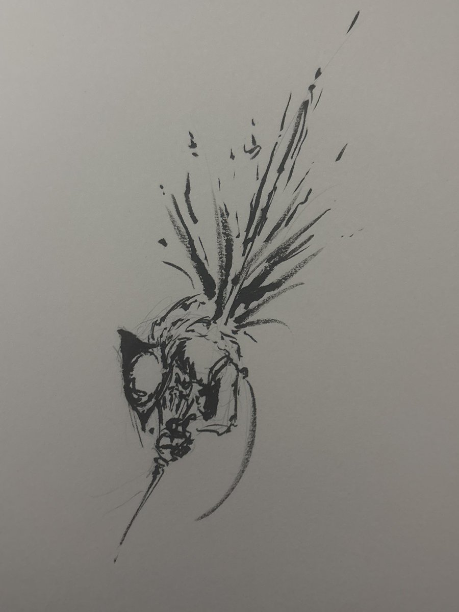 Recluse, The Nightfarer tweet media