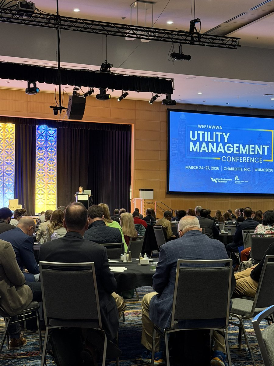 Steve Dawson tweet media