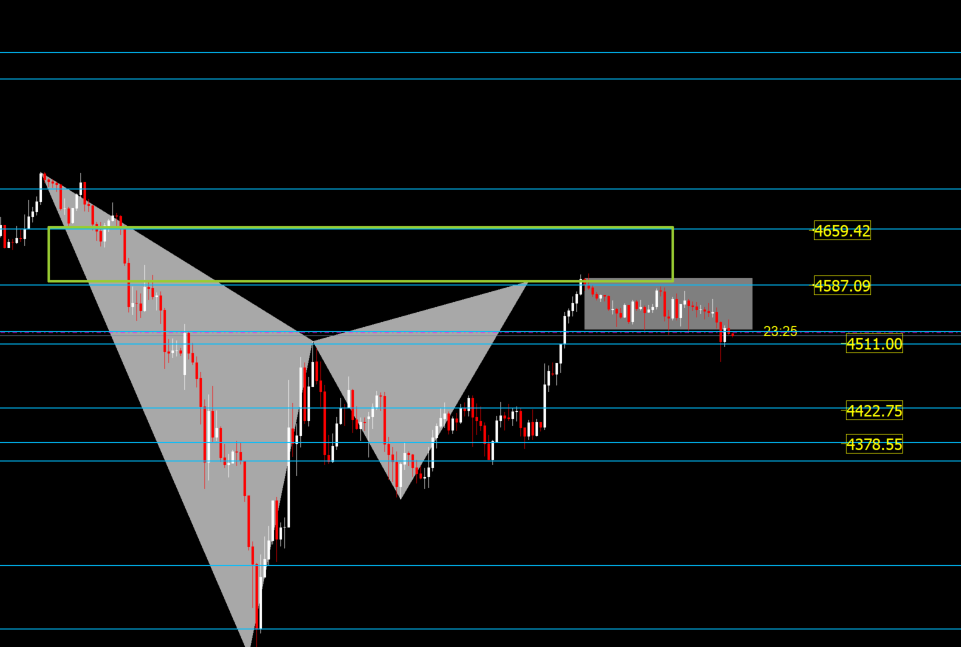 Majed .S tweet media