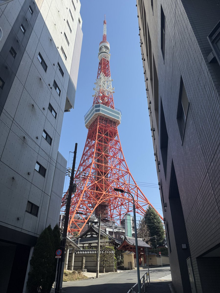 treznelson's tweet photo. 🇯🇵 https://t.co/qZNNC9REnZ