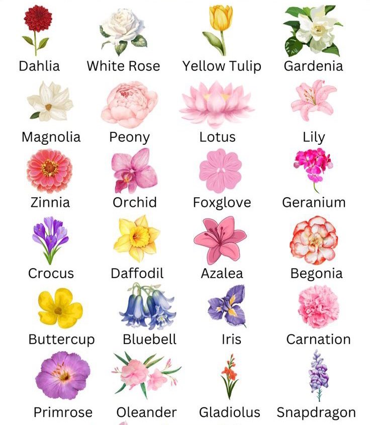 مَريَّم🍓 tweet media