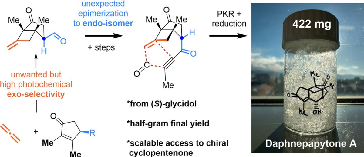 Total Synthesis tweet media