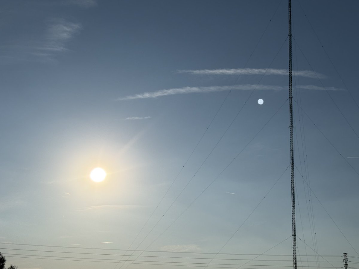 Pangolarismo tweet media