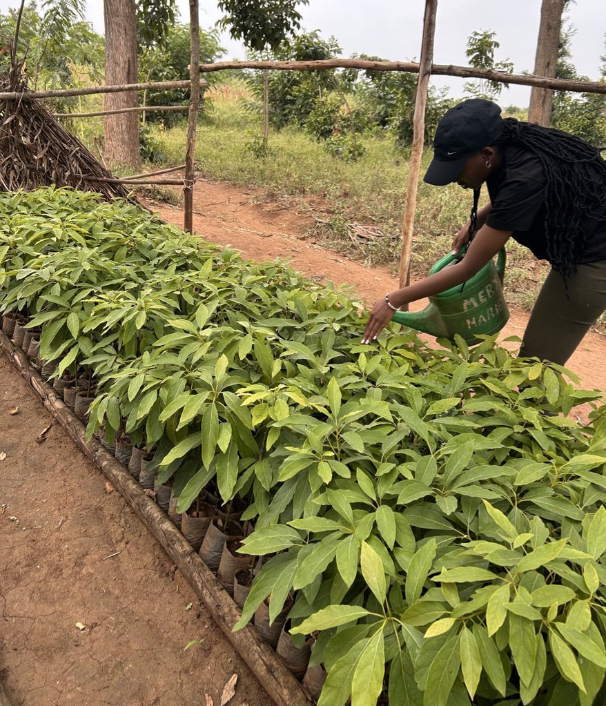 AgriShoot's tweet image. Always feels #effortless and #fulfilling when you’re doing what you truly love. 

#Farming