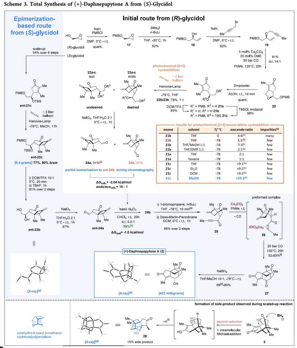 Total Synthesis tweet media