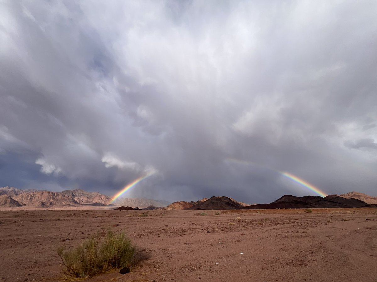 abf__111's tweet photo. الوان الطيف 🌈 https://t.co/fdpeUFSLHs