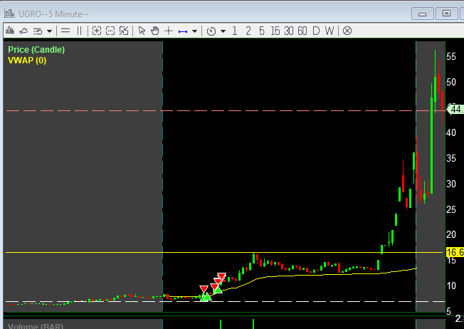 DiligentBear tweet media